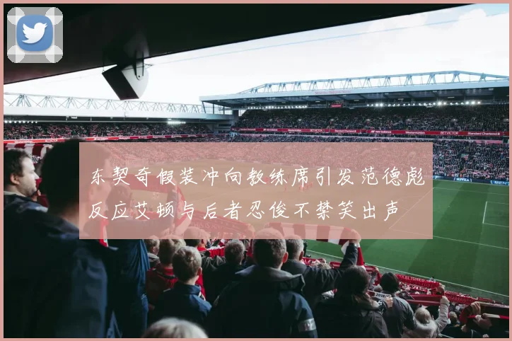 东契奇假装冲向教练席引发范德彪反应艾顿与后者忍俊不禁笑出声