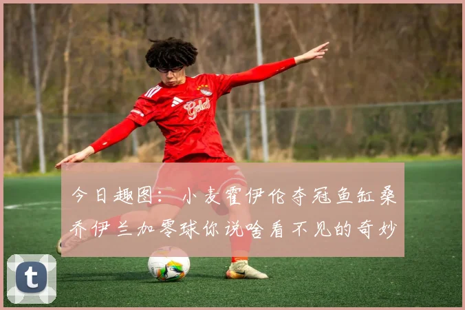 今日趣图：小麦霍伊伦夺冠鱼缸桑乔伊兰加零球你说啥看不见的奇妙瞬间