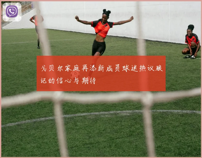戈贝尔家庭再添新成员球迷热议狼记的信心与期待