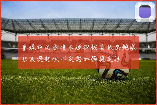 鲁媒评论陈培东逐渐恢复状态鲍威尔表现起伏不定需加强稳定性